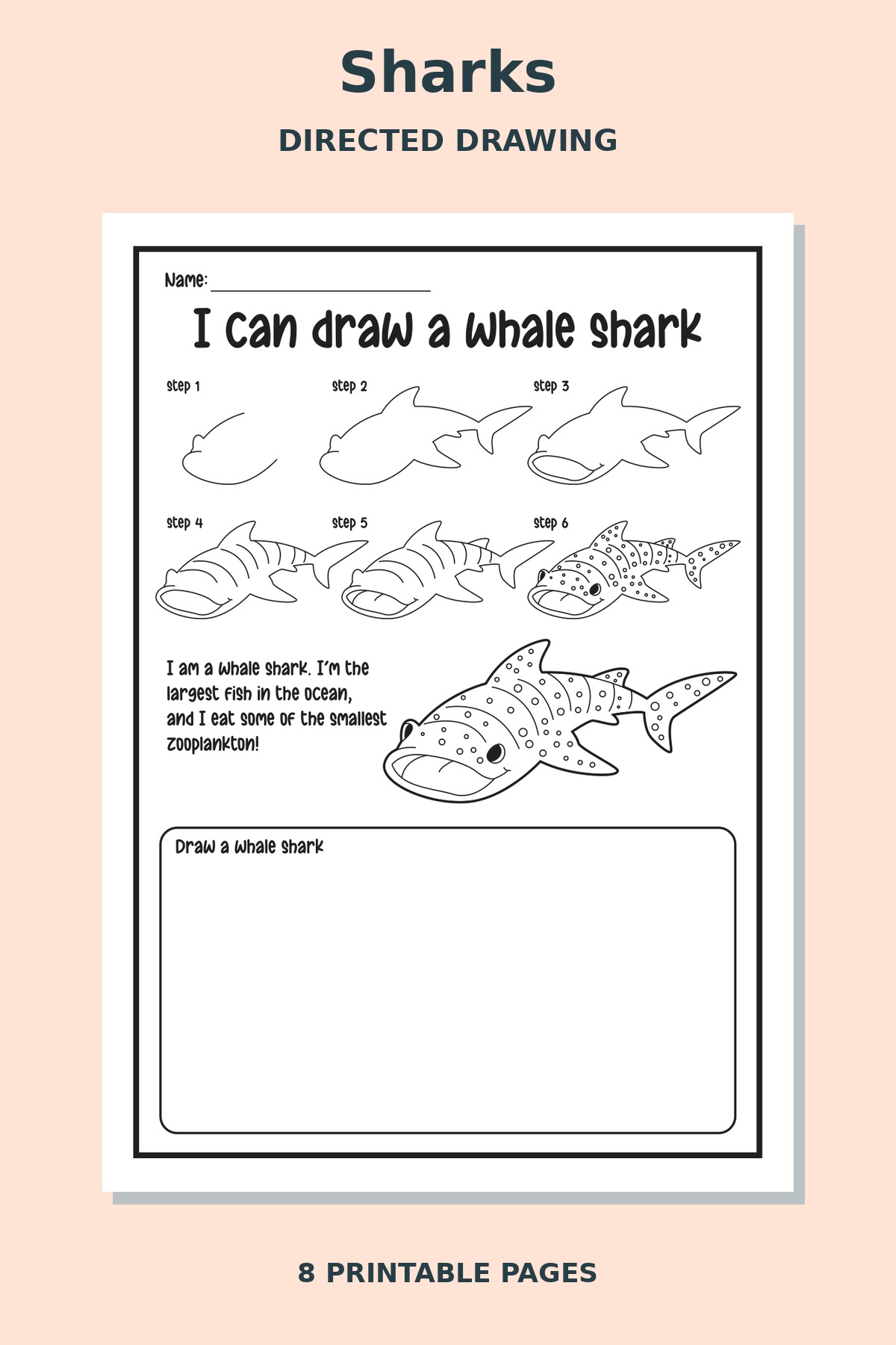 Shark Directed Drawing Worksheets